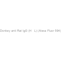 Donkey anti Rat IgG (H + L) (Alexa Fluor 594)